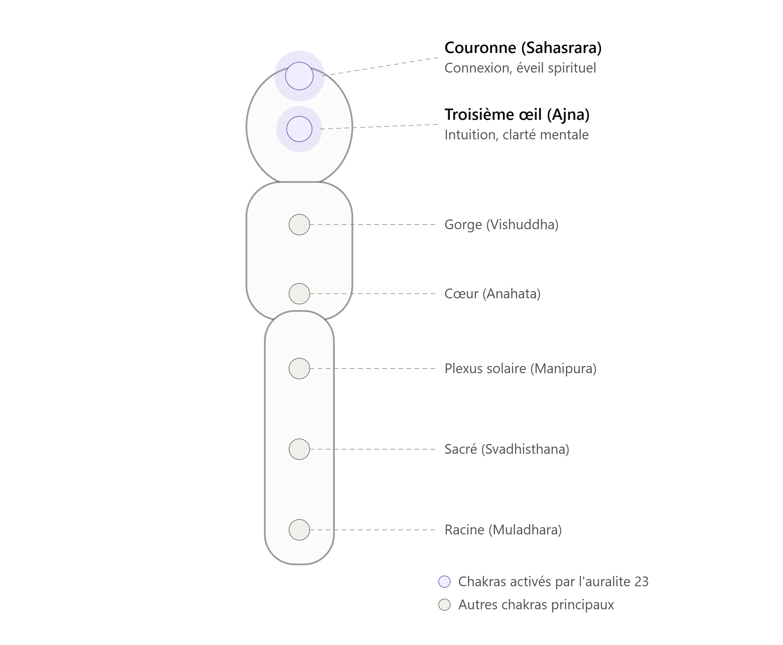 Schéma d'une silhouette humaine montrant les sept chakras, avec le troisième œil et la couronne mis en évidence en violet comme chakras activés par l'auralite 23