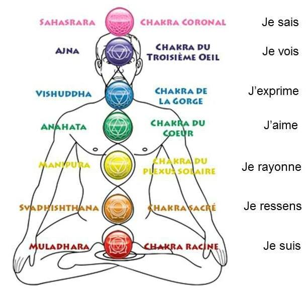 ou se trouve le chakra sacre