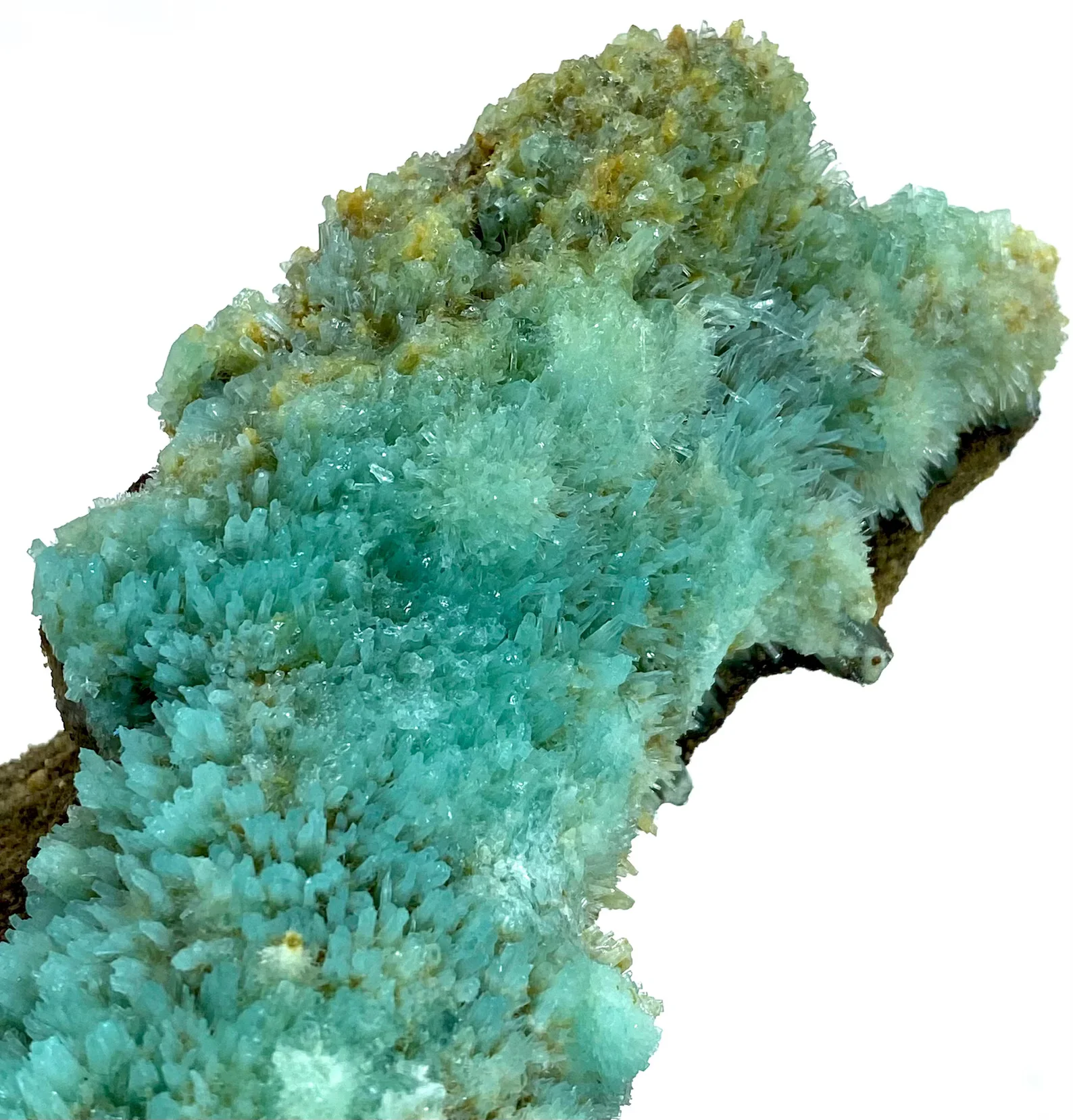 aragonite bleue