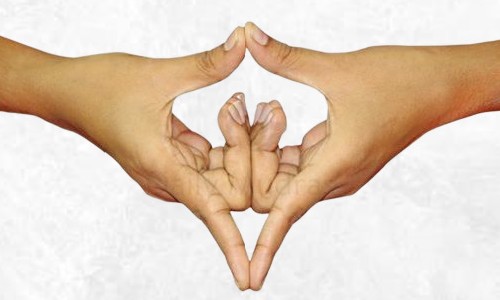 mudra chakra-coronal