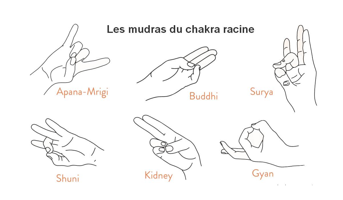 mudra-du-chakra-racine