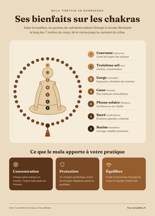 comment le rudraksha équilibre l'énergie du corps