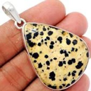 jaspe dalmatien