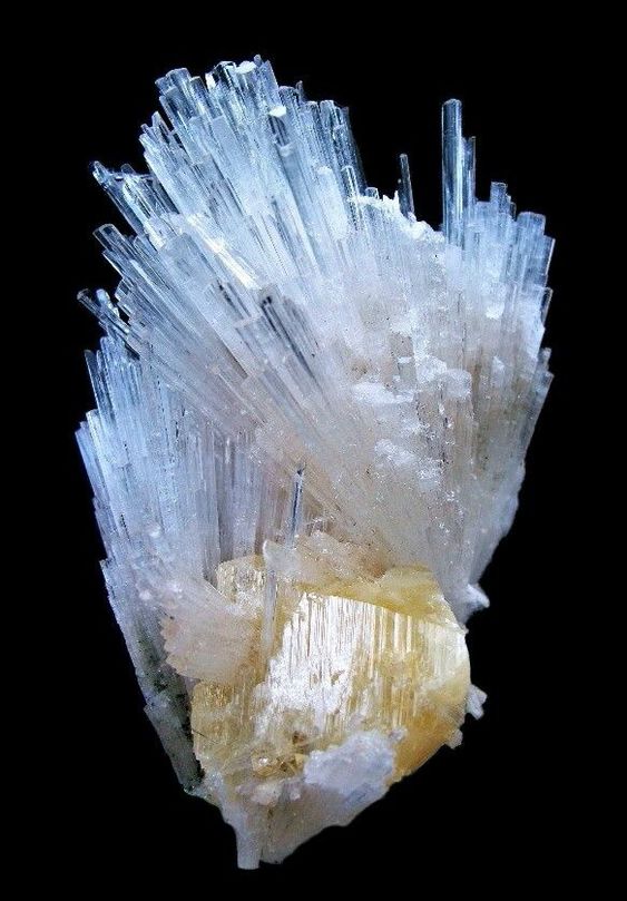 vertus-scolecite