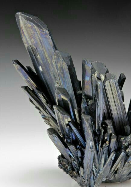 vertus-cyanite-noire