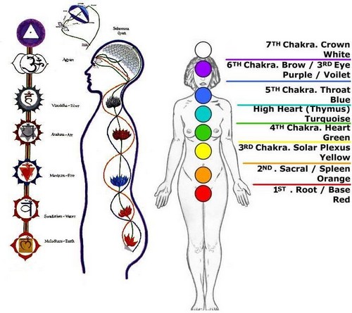 7 chakras